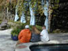 DSCN0267