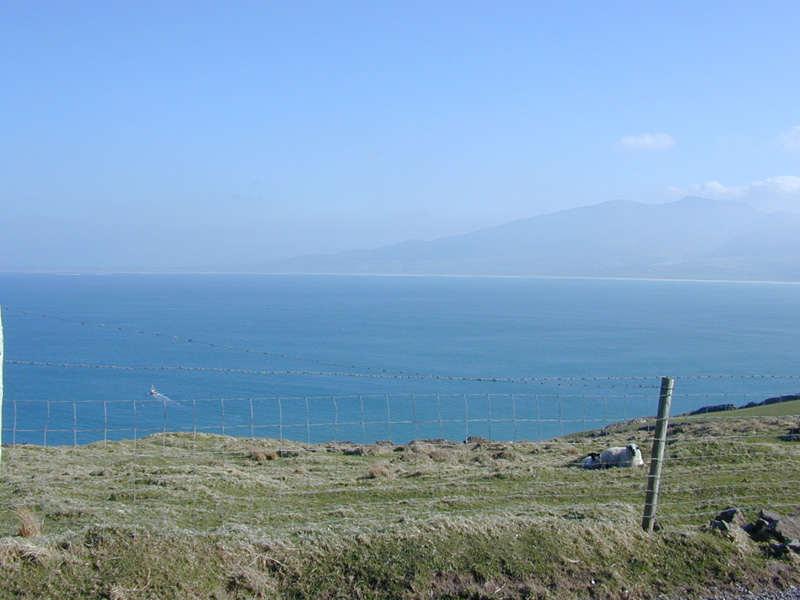 Brandon Point, Dingle. 3JPG